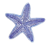 Blue Starfish Print