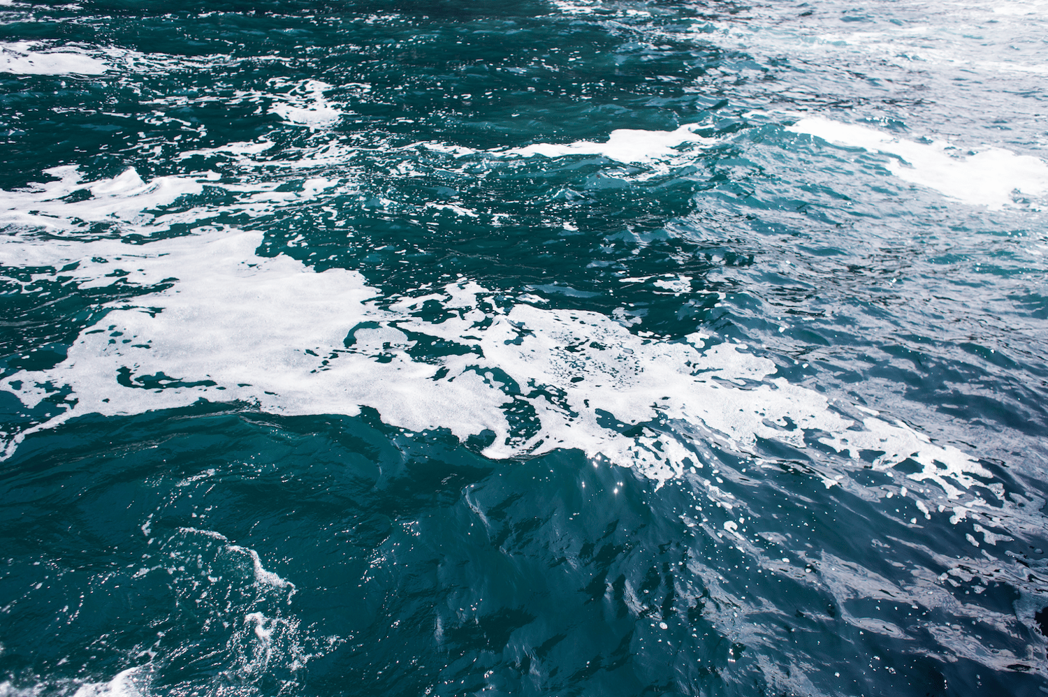 Image of Turquoise Sea