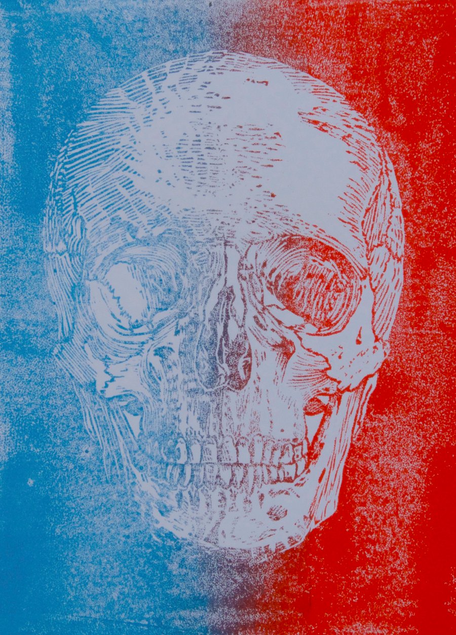 Image of Fading Mortality