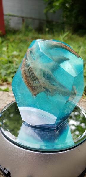 Image of Lost Treasure