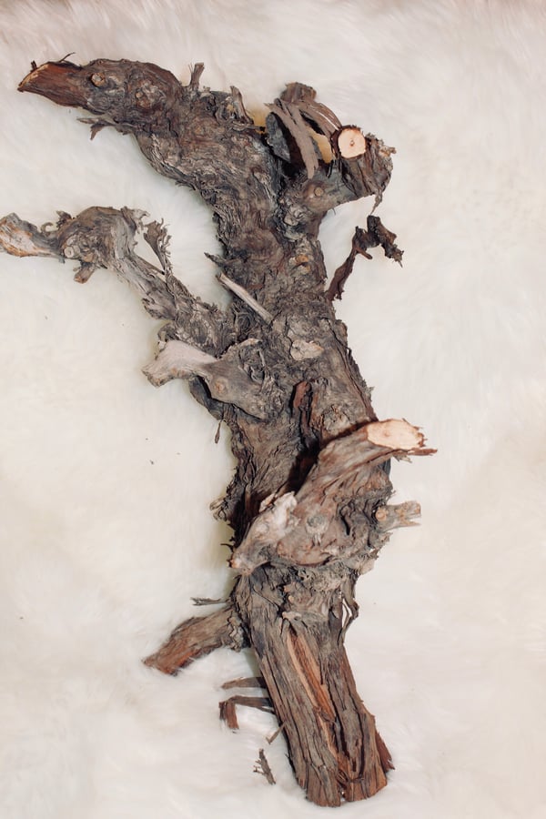 Image of 24" grapewood natural (minimum order 2)