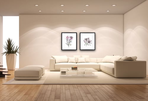 Image of DAY LILY SPLASH 1 (Unframed)