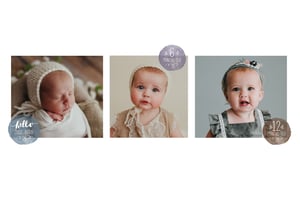 Image of The Baby Plan {$595}