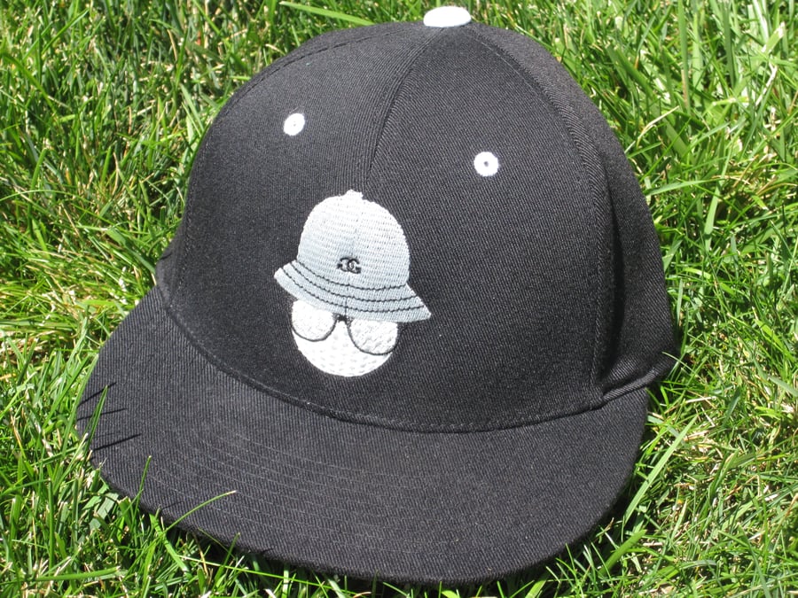 Image of Poppin Pro V Flex Fit Hat