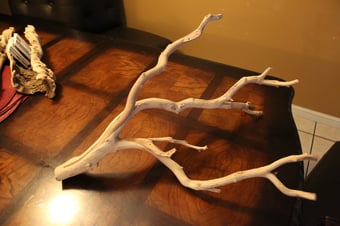 Image of birdwood sandblasted