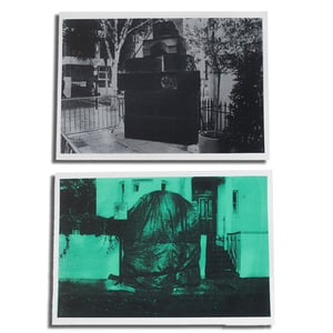 Image of 'NHSS II - Green / Silver Pair' by Brian David Stevens