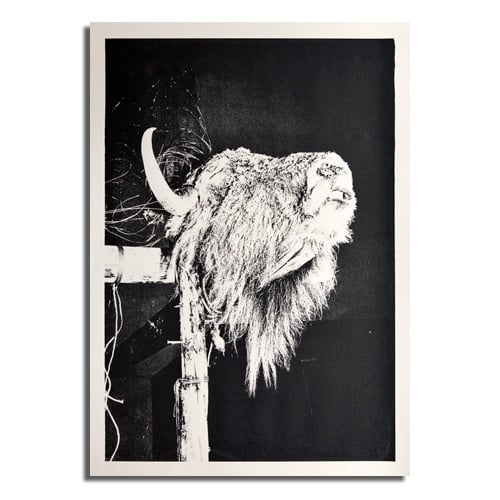 Image of 'Night Head' by Kim Thue