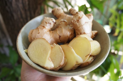 Image of GINGER spagyric tincture - alchemically enhanced plant extraction