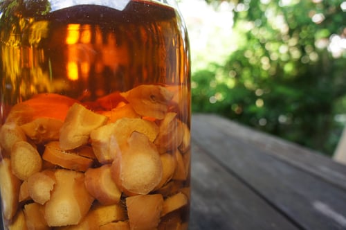 Image of GINGER spagyric tincture - alchemically enhanced plant extraction
