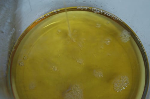Image of GINGER spagyric tincture - alchemically enhanced plant extraction