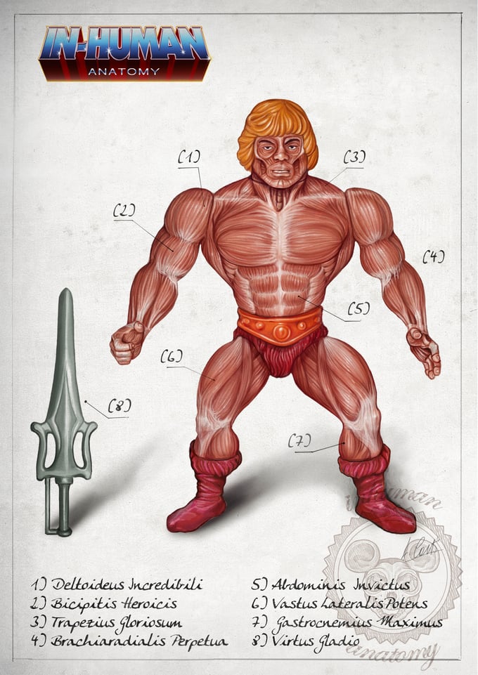 Image of HE-MAN- ANATOMY  limited edition of 100 Giclèe print on fine art canvas