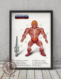 Image 2 of HE-MAN- ANATOMY  limited edition of 100 Giclèe print on fine art canvas