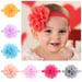 Image of 4 Inch Chiffon and Lace Headband-12 colors