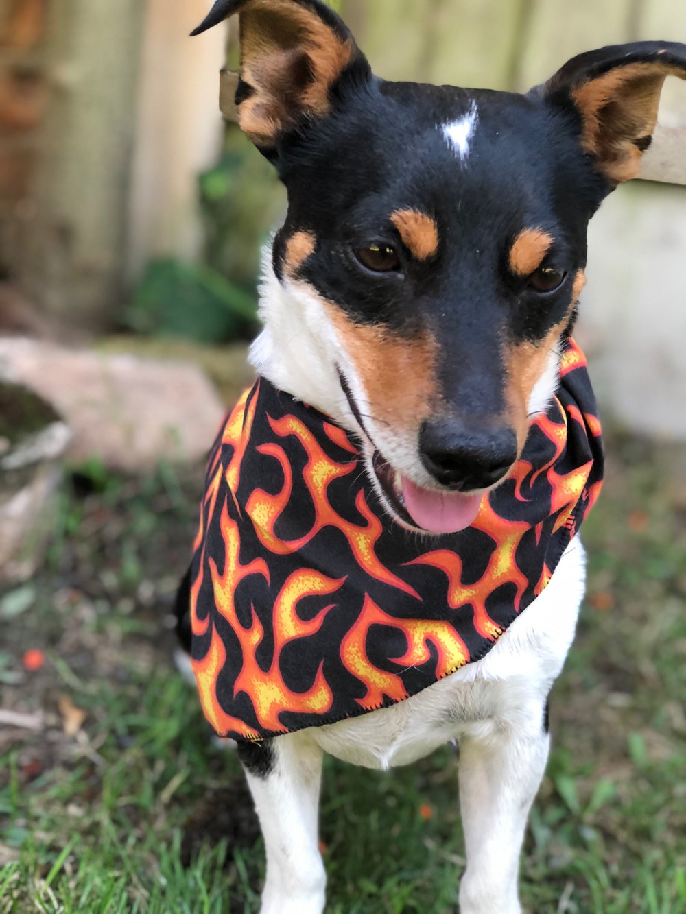 Image of Flames Bandana 🔥