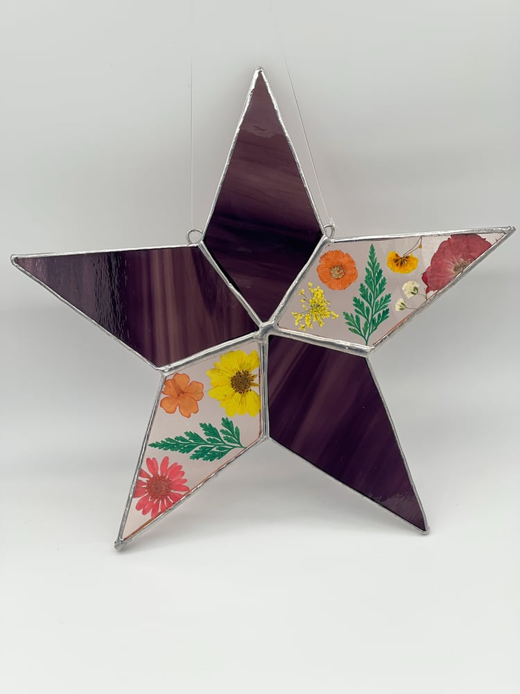 Image of Wispy purple flower star 