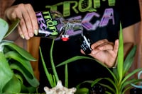 Image 3 of TRQPITECA LOGO STICKER