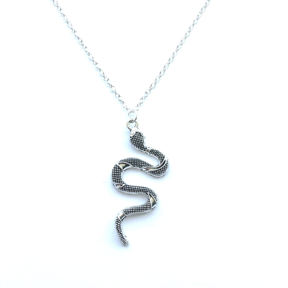 Image of Python necklace