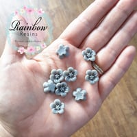 Grey blossoms x 10
