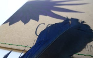 Image of 'Corvidae' by These Feathers Have Plumes