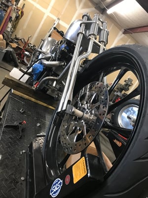 Image of Redneck Springer Wishbone