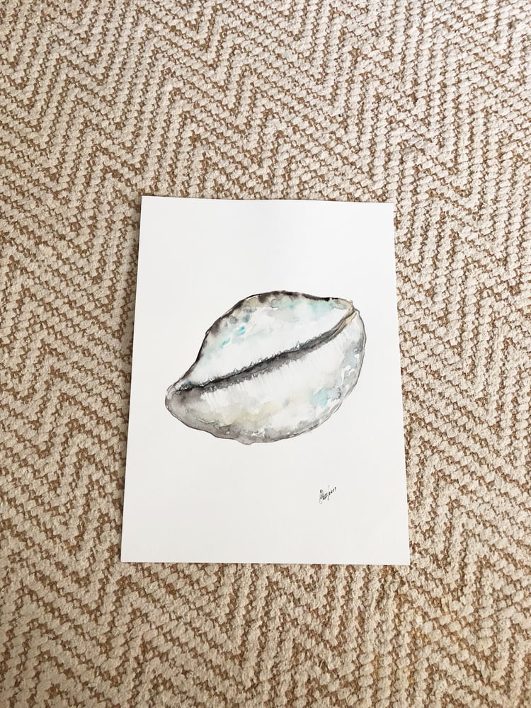 Image of Ocean shell (11x14 Original Watercolor)