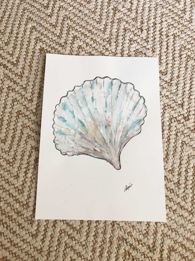 Image of Shell (11x14  Original Watercolor)