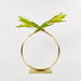 Image of Vase 647 - Almost a Circle Vase