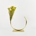 Image of Vase 653 - Best Practice Vase