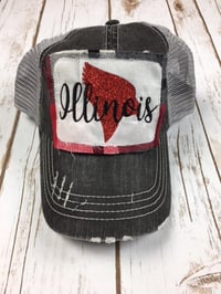 Illinois Bird Raggy Patch Hat