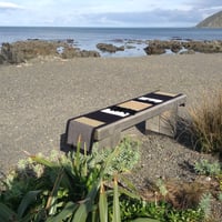 Image 1 of Moondance runner-Long