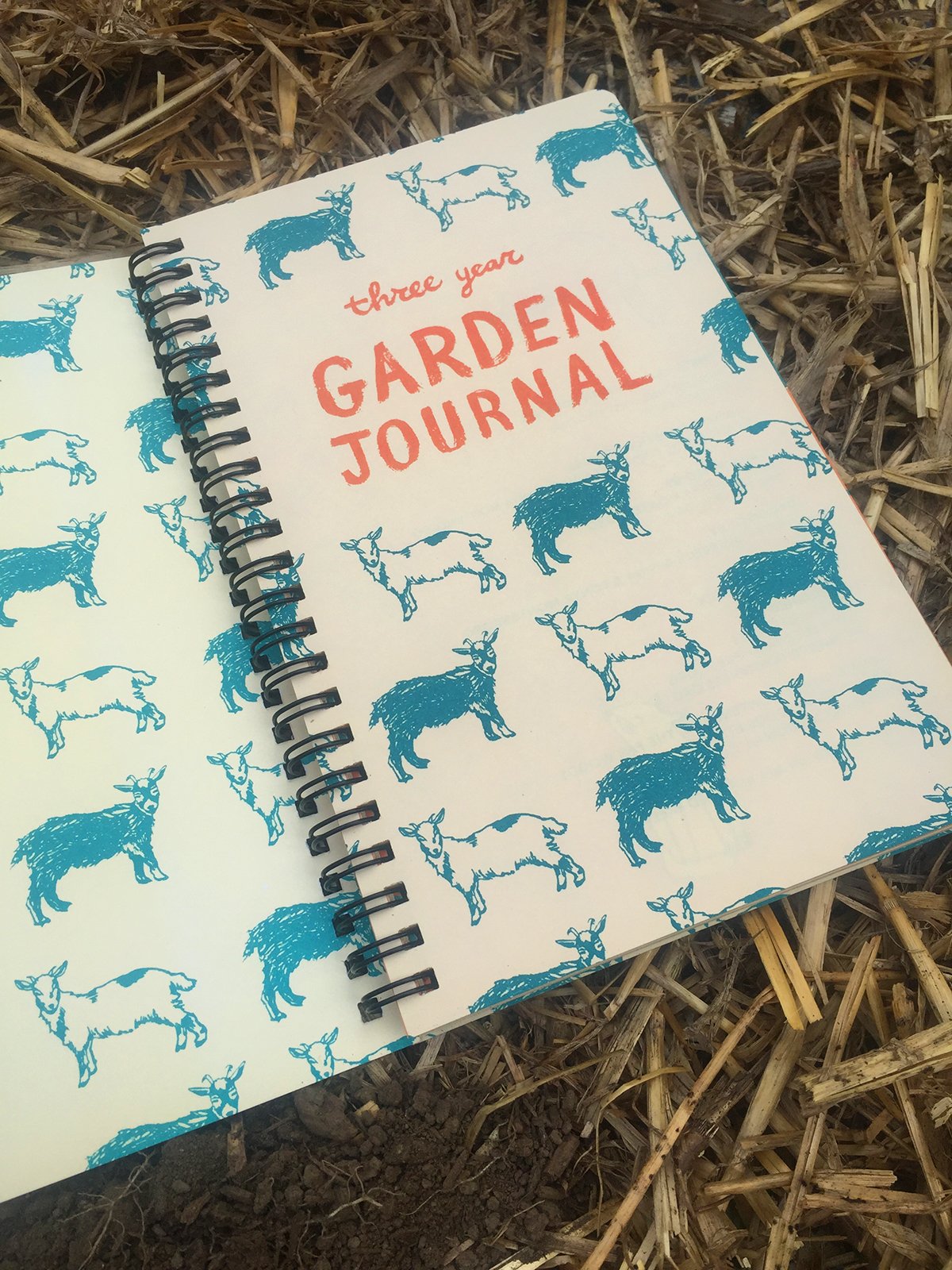 3-Year Garden Journal
