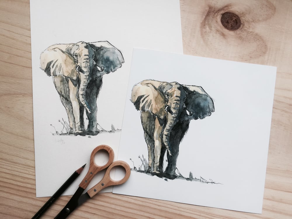 Image of Lámina "Elefante" - Print "Elefante"
