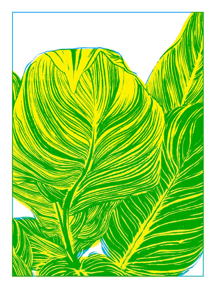 Image of Plants poster