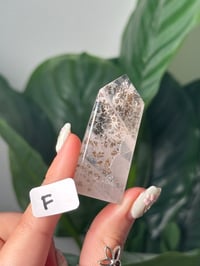 Image 1 of DENDRITIC QUARTZ TOWERS F-J -BRAZIL-