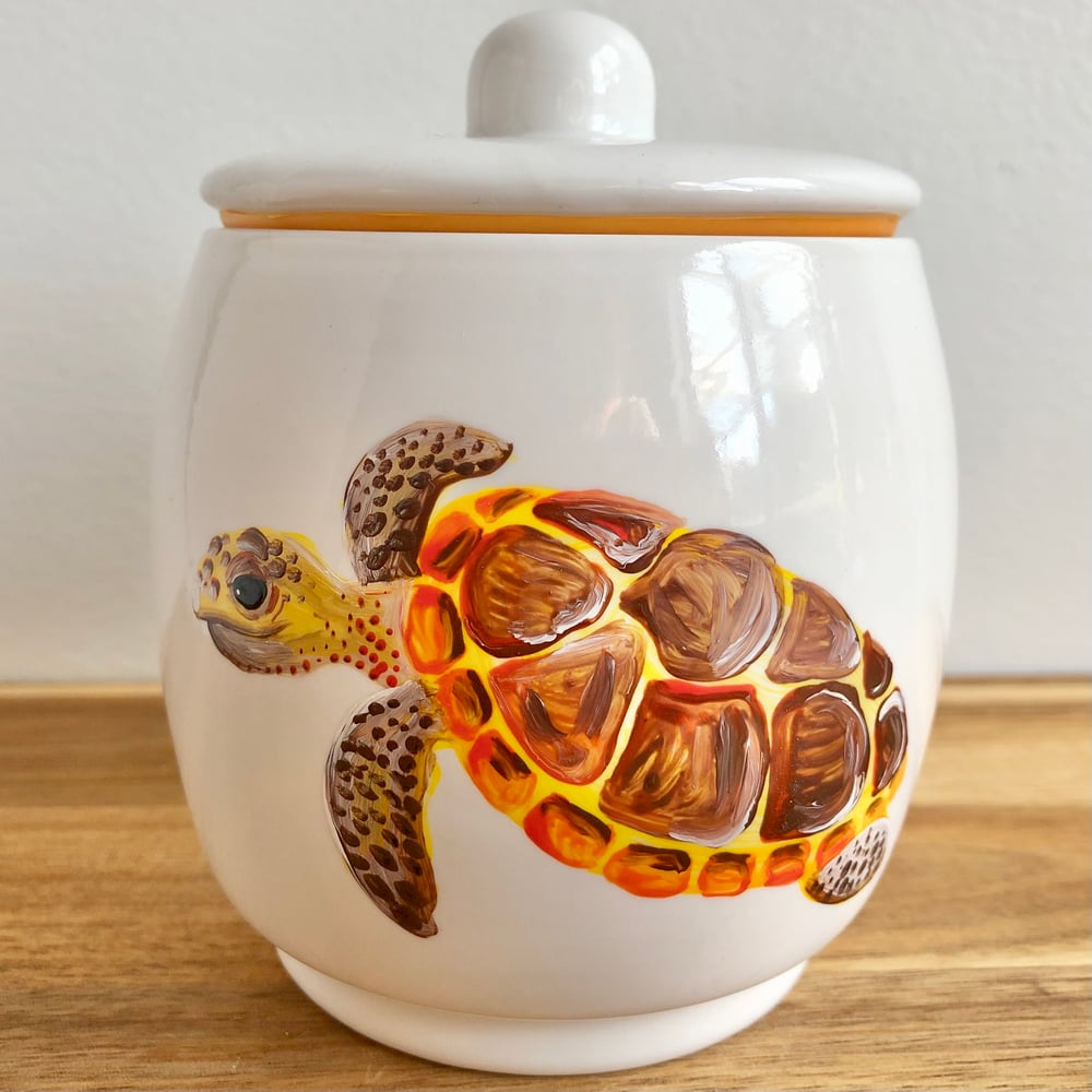 Sea Turtle Canister
