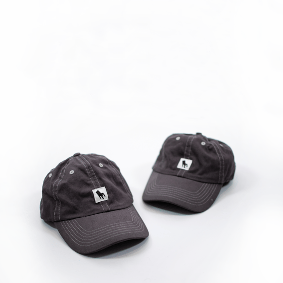Image of Dyed Logo Hat