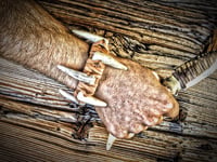 Image 4 of CoBrac / Combat Survival Bracelet