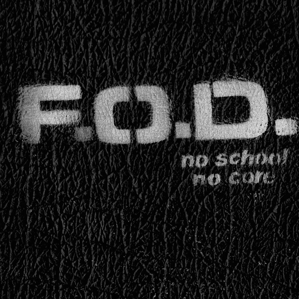 Image of FLAG OF DEMOCRACY - NO SCHOOL NO CORE CD