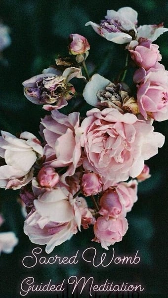 Image of Sacred Womb Guided Meditation