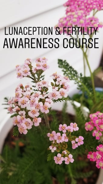 Image of Lunaception + Fertility Awareness Course