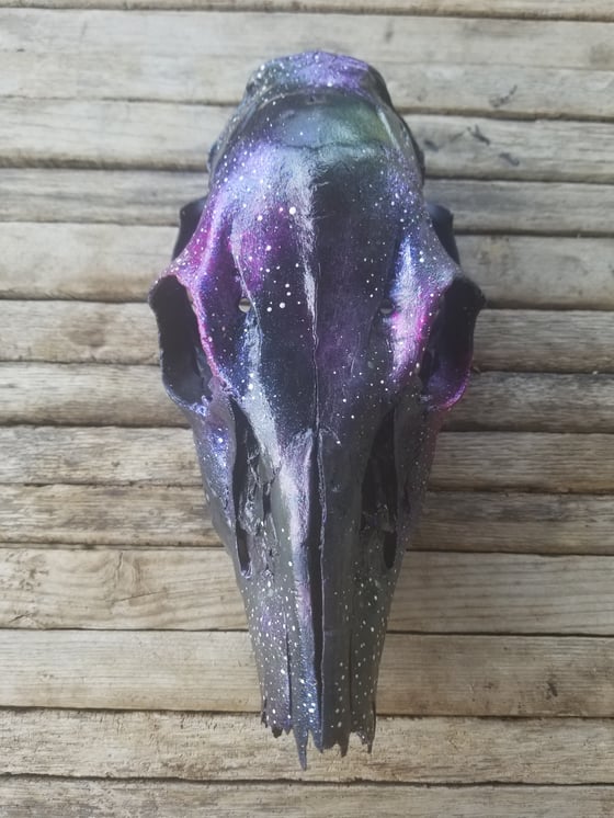 Image of Hand painted galaxy theme real deer skull
