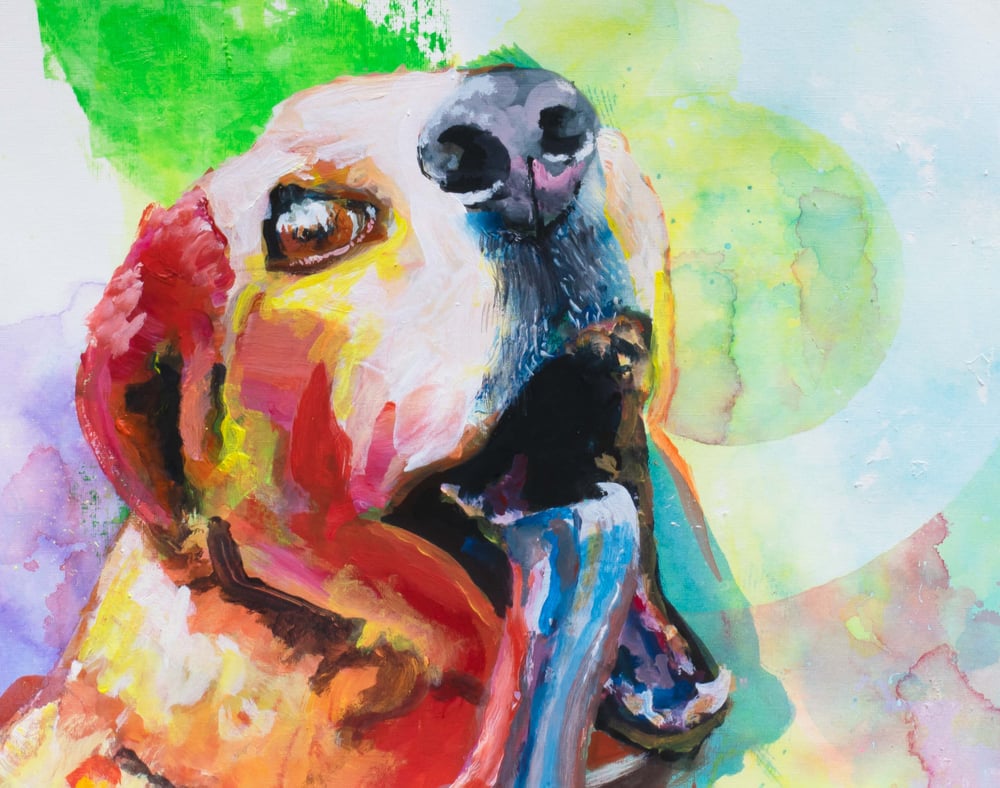 Image of I think your dog just claimed the cosmos ||FRAMED||