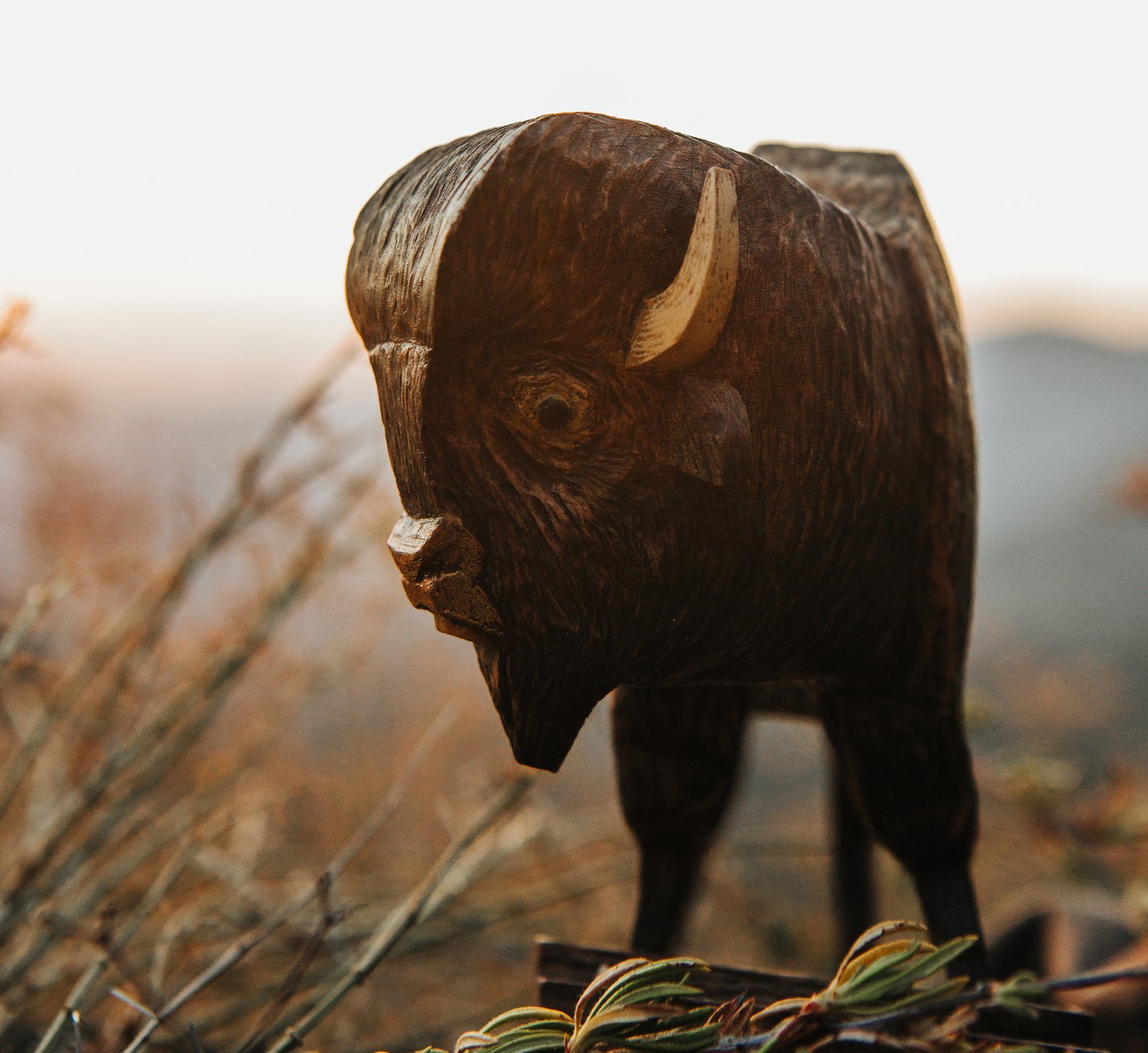 Image of Whittle Bison