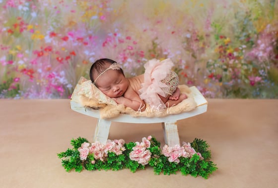 Image of Cassandra pillows