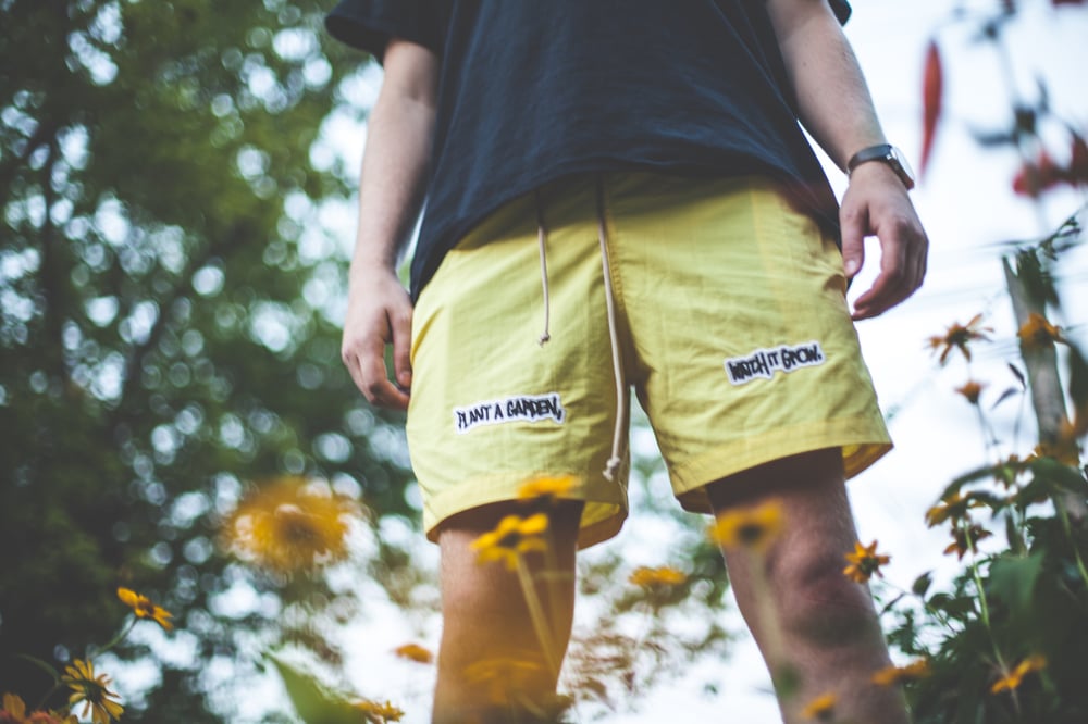 Image of Swim Short SS18 - Canary Yellow