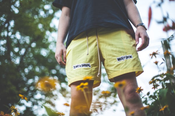 Image of Swim Short SS18 - Canary Yellow