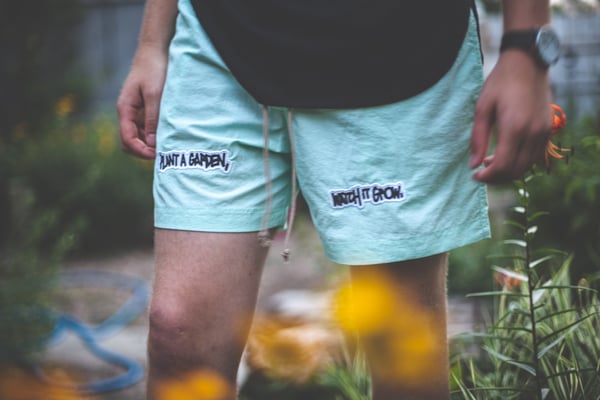 Image of Swim Short SS18 - Mint