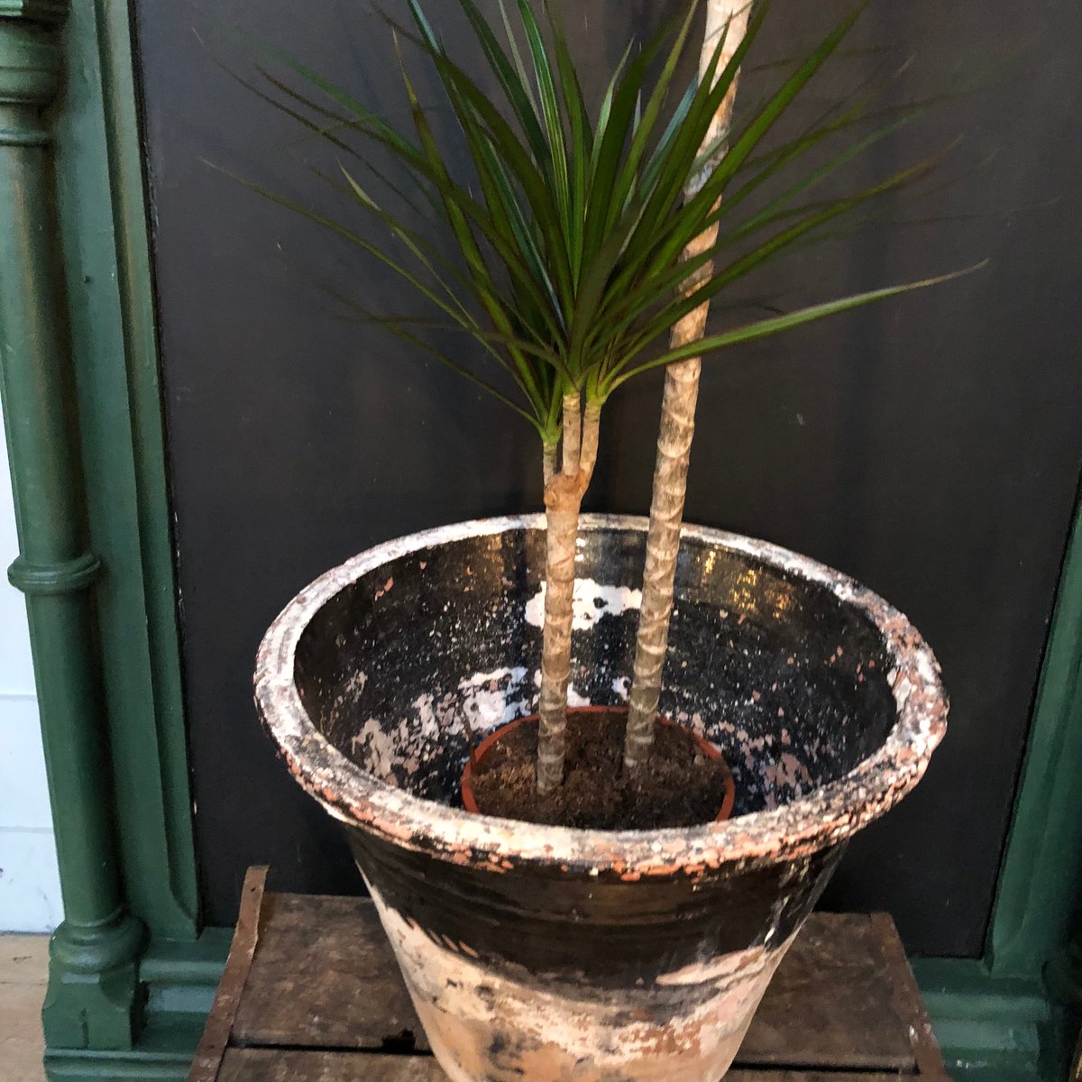 19thc Milk Crock 