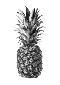 Image 1 of Rainforest Rewild Super Size Prints!