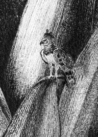 Image 2 of Rainforest Rewild Super Size Prints!